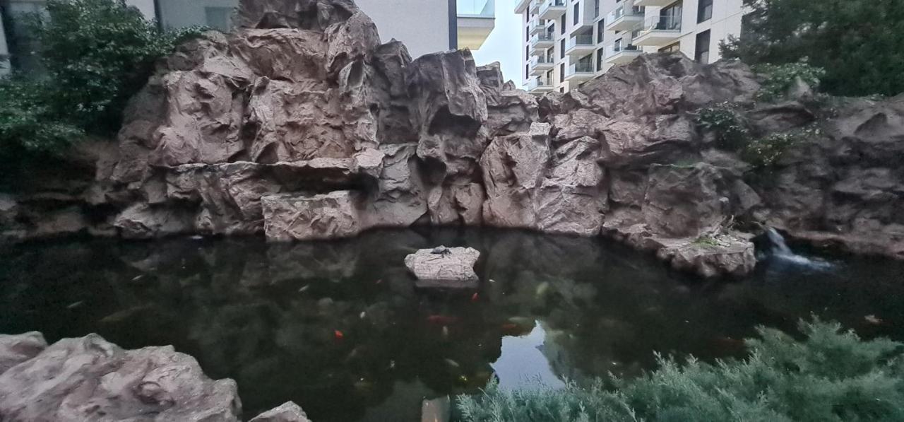 Garden Oasis Studio ブカレスト エクステリア 写真